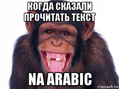 когда сказали прочитать текст na arabic, Мем мавпа