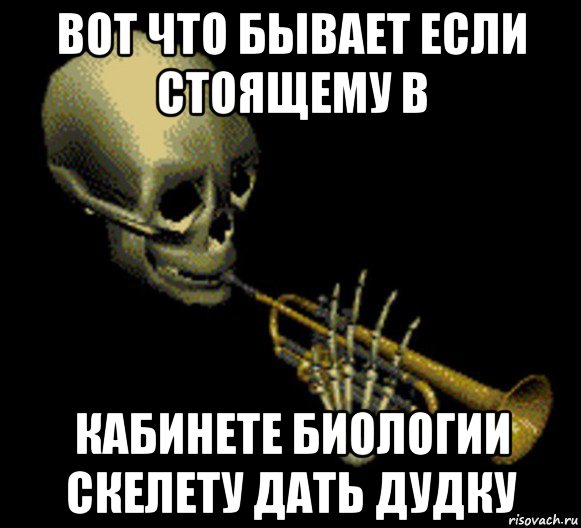 вот что бывает если стоящему в кабинете биологии скелету дать дудку, Мем Мистер дудец