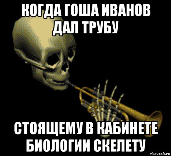 когда гоша иванов дал трубу стоящему в кабинете биологии скелету, Мем Мистер дудец