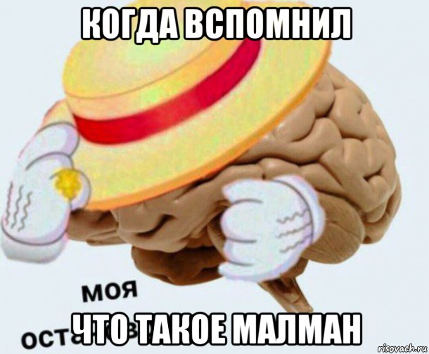 когда вспомнил что такое малман, Мем   Моя остановочка мозг