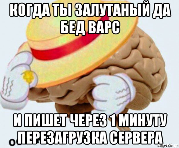 когда ты залутаный да бед варс и пишет через 1 минуту перезагрузка сервера, Мем   Моя остановочка мозг