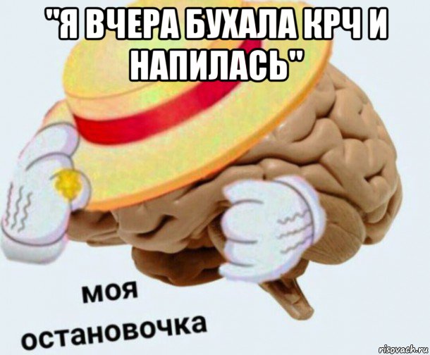 "я вчера бухала крч и напилась" , Мем   Моя остановочка мозг