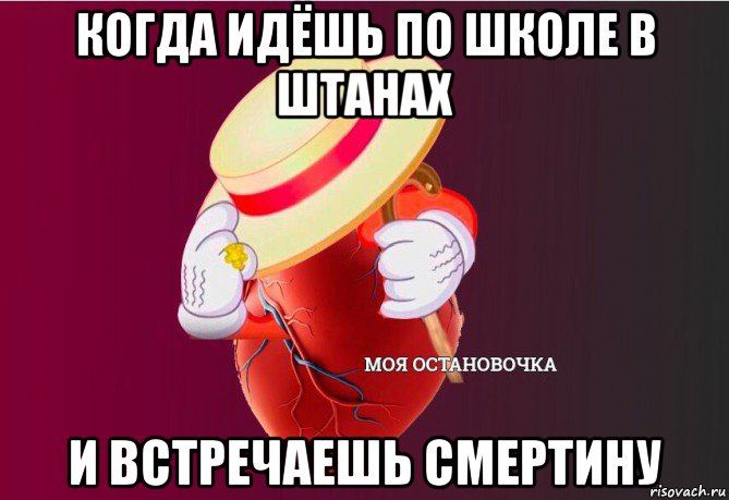 когда идёшь по школе в штанах и встречаешь смертину, Мем   Моя остановочка