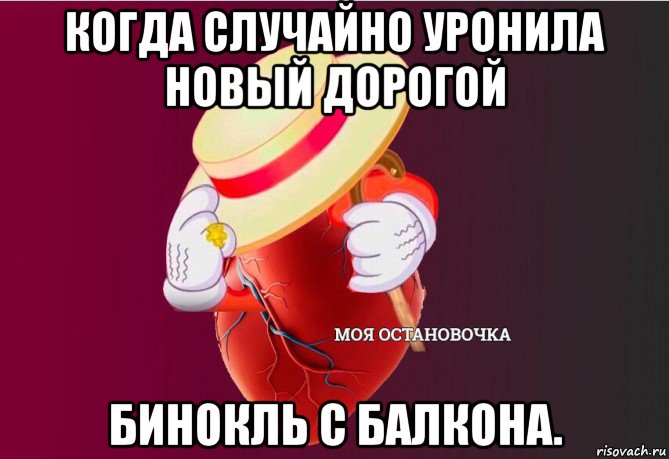 когда случайно уронила новый дорогой бинокль с балкона., Мем   Моя остановочка