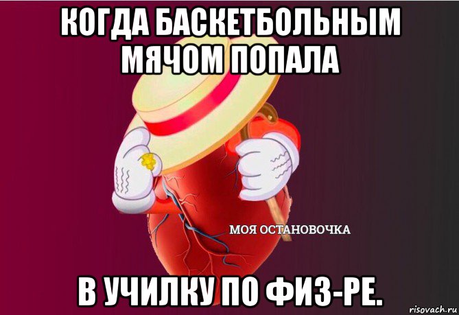 когда баскетбольным мячом попала в училку по физ-ре., Мем   Моя остановочка