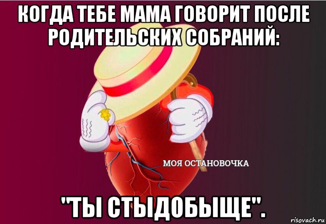 когда тебе мама говорит после родительских собраний: "ты стыдобыще"., Мем   Моя остановочка