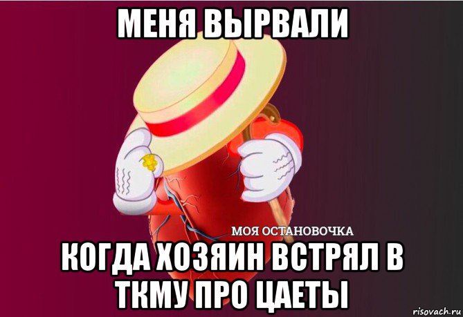 меня вырвали когда хозяин встрял в ткму про цаеты, Мем   Моя остановочка