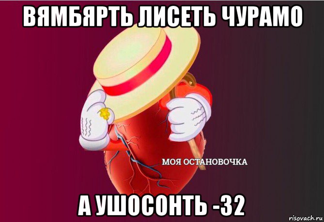 вямбярть лисеть чурамо а ушосонть -32, Мем   Моя остановочка