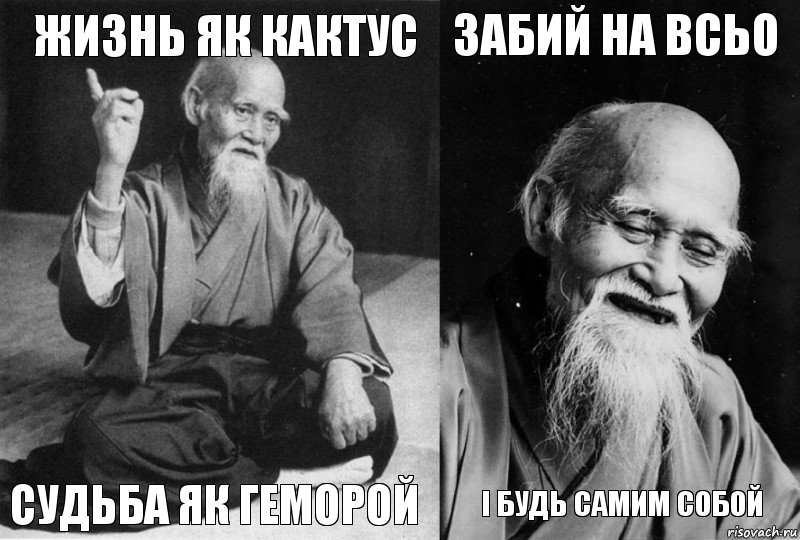 жизнь як кактус судьба як геморой забий на всьо і будь самим собой, Комикс Мудрец-монах (4 зоны)