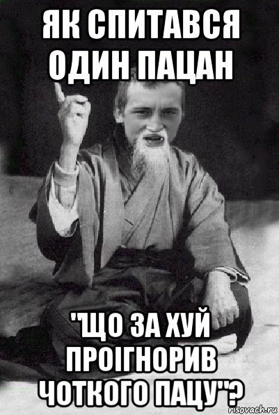 як спитався один пацан "що за хуй проігнорив чоткого пацу"?, Мем Мудрий паца