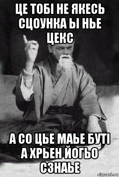 це тобі не якесь сцоунка ьі нье цекс а со цье маье буті а хрьен йогьо сзнаье, Мем Мудрий Виталька