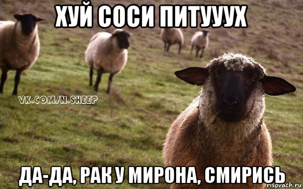 хуй соси питууух да-да, рак у мирона, смирись