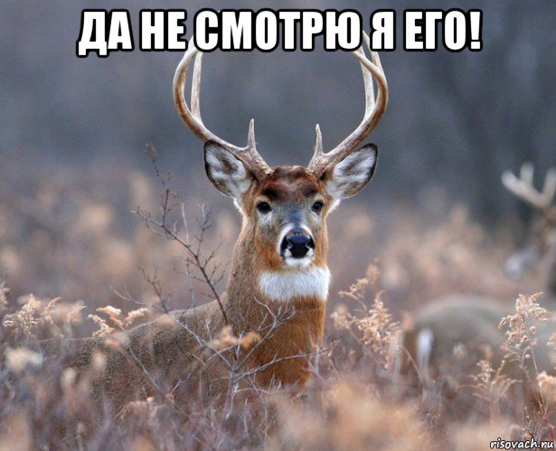 да не смотрю я его! , Мем   Наивный олень