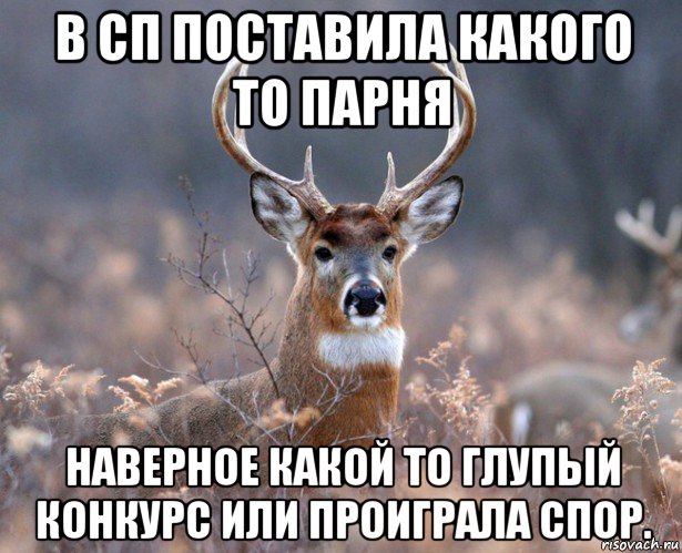 в сп поставила какого то парня наверное какой то глупый конкурс или проиграла спор., Мем   Наивный олень