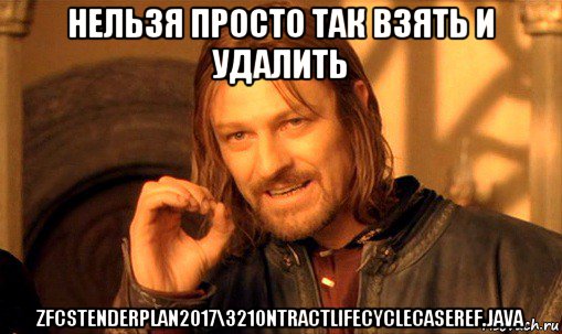 нельзя просто так взять и удалить zfcstenderplan2017\321ontractlifecyclecaseref.java, Мем Нельзя просто так взять и (Боромир мем)