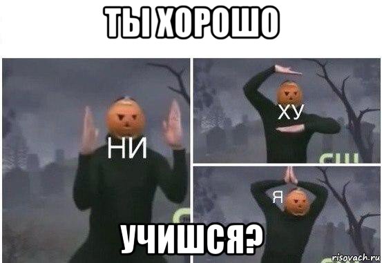 ты хорошо учишся?