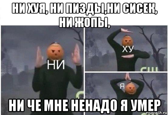 ни хуя, ни пизды,ни сисек, ни жопы, ни че мне ненадо я умер, Мем  Ни ху Я