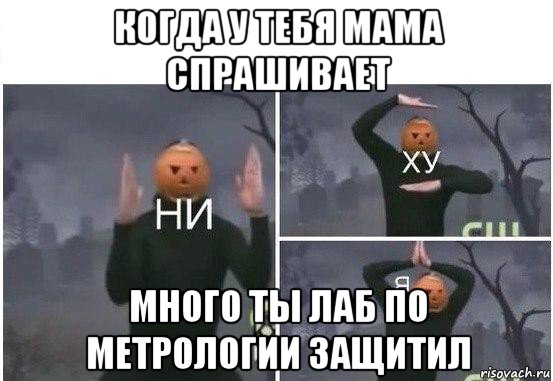 когда у тебя мама спрашивает много ты лаб по метрологии защитил, Мем  Ни ху Я