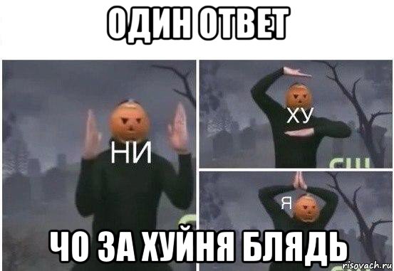 один ответ чо за хуйня блядь, Мем  Ни ху Я