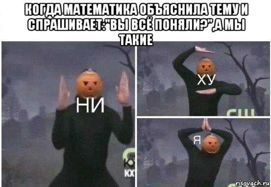 когда математика объяснила тему и спрашивает:"вы всё поняли?",а мы такие , Мем  Ни ху Я