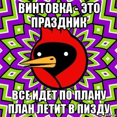 винтовка - это праздник все идет по плану план летит в пизду, Мем Омская птица