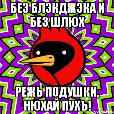 без блэкджэка и без шлюх режь подушки, нюхай пухъ!, Мем Омская птица