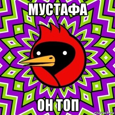 мустафа он топ, Мем Омская птица