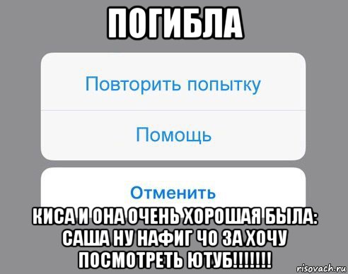 погибла киса и она очень хорошая была: саша ну нафиг чо за хочу посмотреть ютуб!!!!!!!, Мем Отменить Помощь Повторить попытку