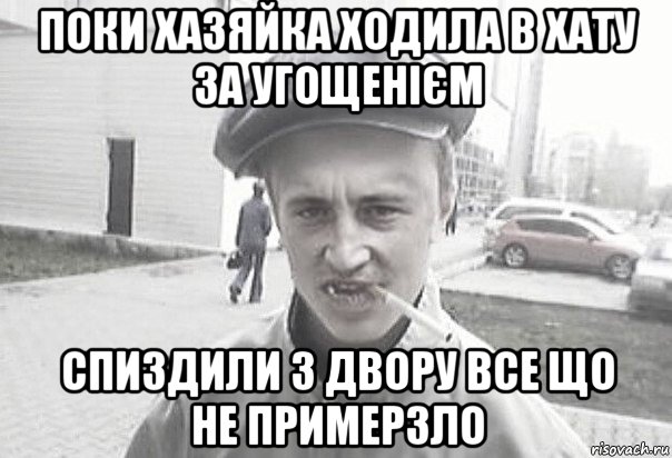 поки хазяйка ходила в хату за угощенієм спиздили з двору все що не примерзло, Мем Пацанська философия