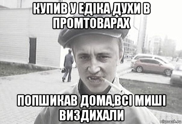 купив у едіка духи в промтоварах попшикав дома,всі миші виздихали, Мем Пацанська философия