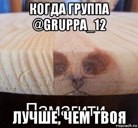 когда группа @gruppa_12 лучше, чем твоя, Мем   Памагити