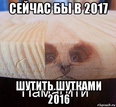 сейчас бы в 2017 шутить шутками 2016, Мем   Памагити