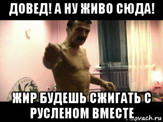 довед! а ну живо сюда! жир будешь сжигать с русленом вместе