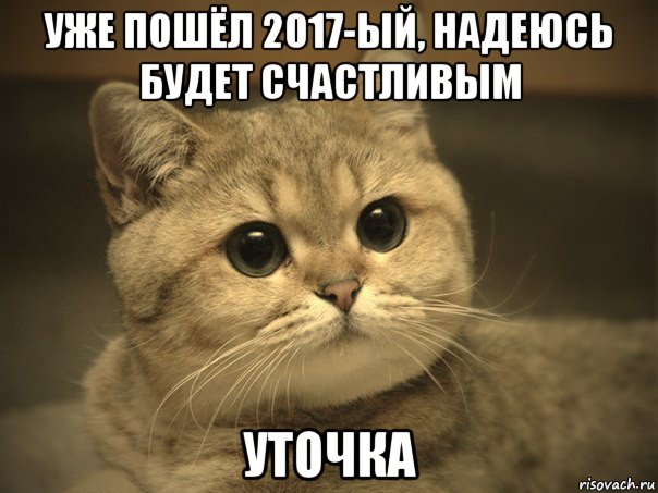 уже пошёл 2017-ый, надеюсь будет счастливым уточка, Мем Пидрила ебаная котик