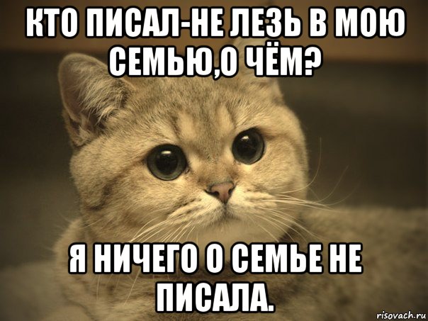 кто писал-не лезь в мою семью,о чём? я ничего о семье не писала., Мем Пидрила ебаная котик