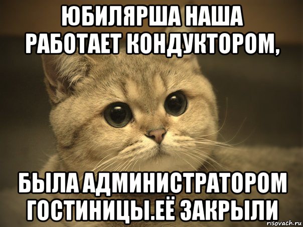 юбилярша наша работает кондуктором, была администратором гостиницы.её закрыли, Мем Пидрила ебаная котик