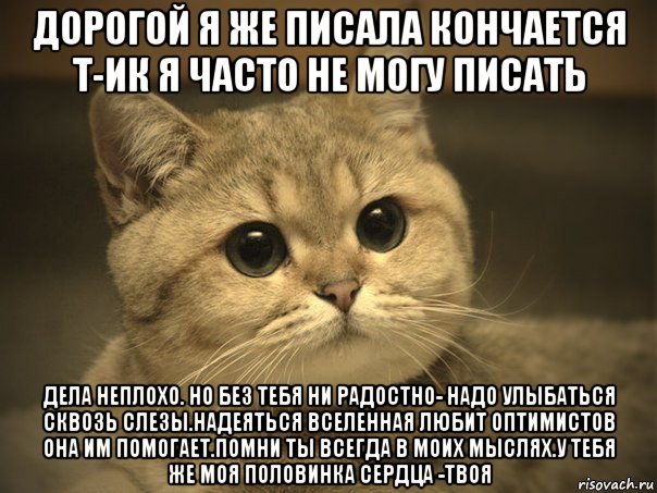 дорогой я же писала кончается т-ик я часто не могу писать дела неплохо. но без тебя ни радостно- надо улыбаться сквозь слезы.надеяться вселенная любит оптимистов она им помогает.помни ты всегда в моих мыслях.у тебя же моя половинка сердца -твоя, Мем Пидрила ебаная котик