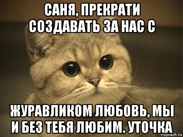 саня, прекрати создавать за нас с журавликом любовь, мы и без тебя любим. уточка, Мем Пидрила ебаная котик