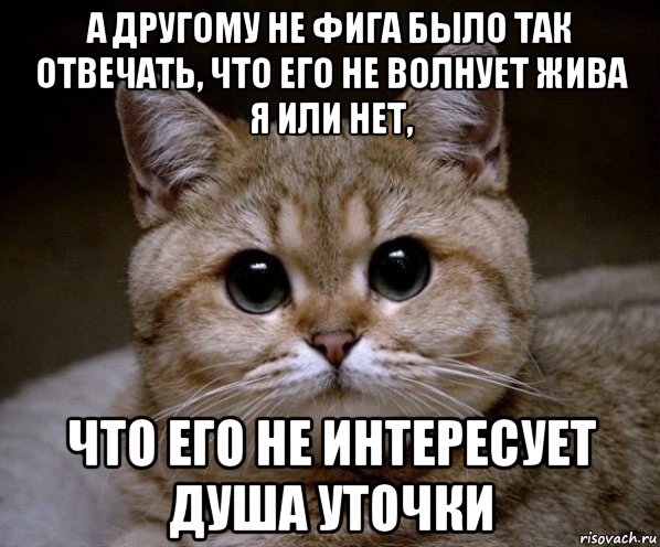 а другому не фига было так отвечать, что его не волнует жива я или нет, что его не интересует душа уточки