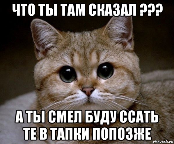 что ты там сказал ??? а ты смел буду ссать те в тапки попозже, Мем Пидрила Ебаная