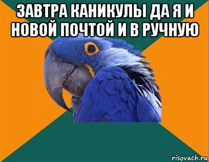 завтра каникулы да я и новой почтой и в ручную , Мем Попугай параноик