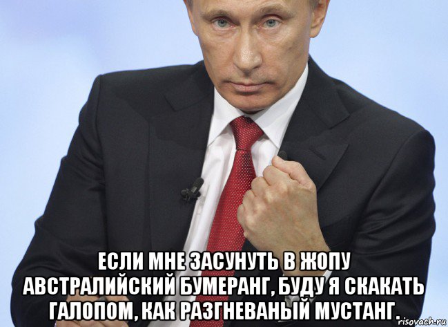  если мне засунуть в жопу австралийский бумеранг, буду я скакать галопом, как разгневаный мустанг., Мем Путин показывает кулак