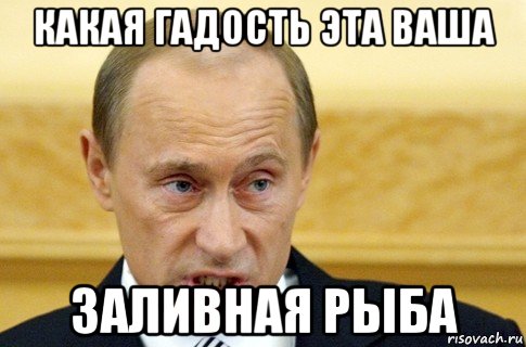 какая гадость эта ваша заливная рыба, Мем путин