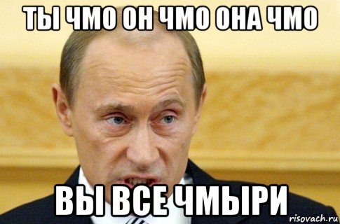 ты чмо он чмо она чмо вы все чмыри, Мем путин