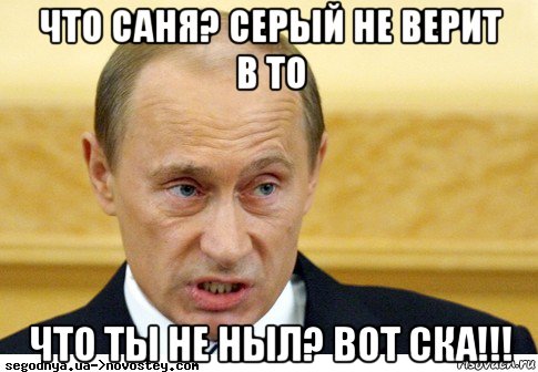 что саня? серый не верит в то что ты не ныл? вот ска!!!, Мем  Путин