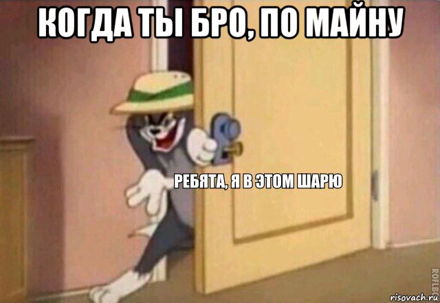 когда ты бро, по майну , Мем    Ребята я в этом шарю