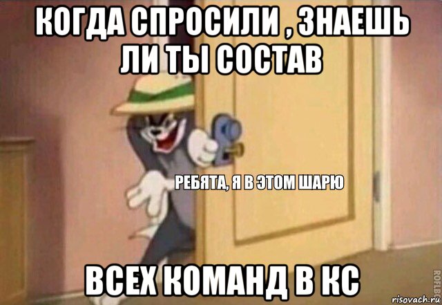 когда спросили , знаешь ли ты состав всех команд в кс, Мем    Ребята я в этом шарю