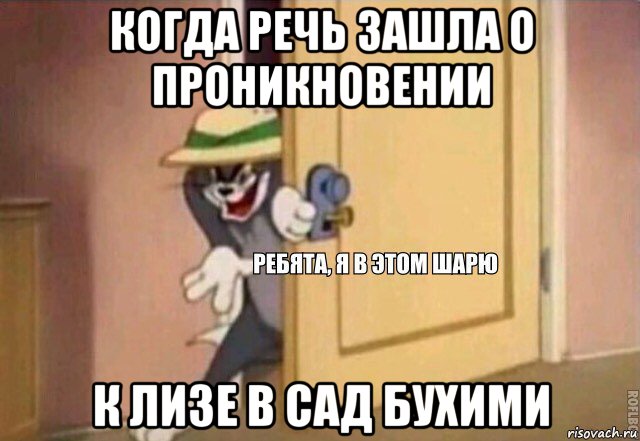 когда речь зашла о проникновении к лизе в сад бухими, Мем    Ребята я в этом шарю