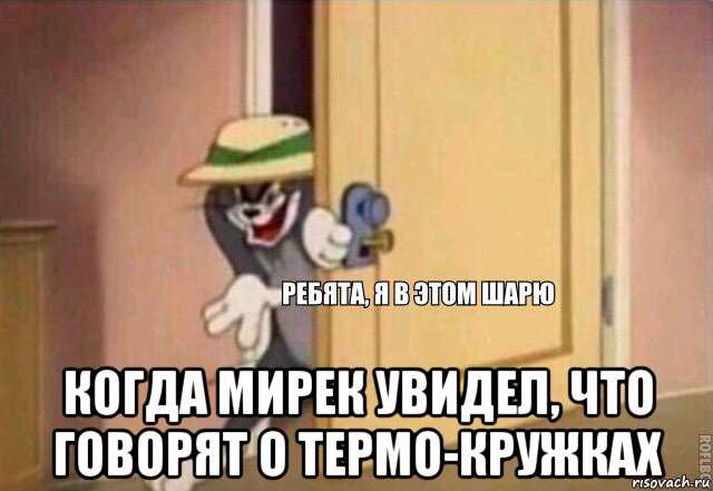  когда мирек увидел, что говорят о термо-кружках, Мем    Ребята я в этом шарю