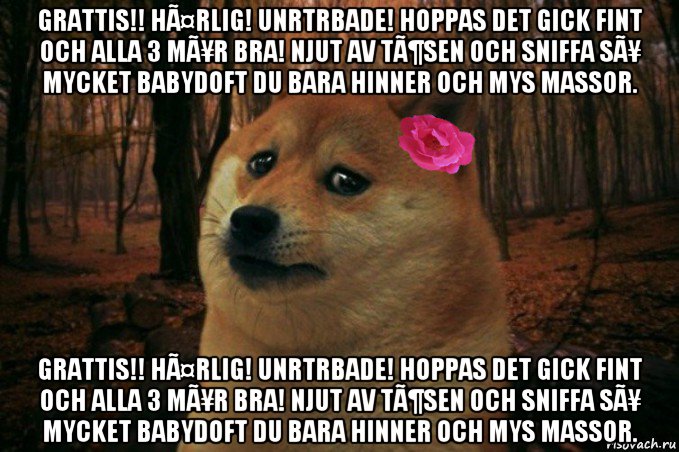 grattis!! hã¤rlig! unrtrbade! hoppas det gick fint och alla 3 mã¥r bra! njut av tã¶sen och sniffa sã¥ mycket babydoft du bara hinner och mys massor. grattis!! hã¤rlig! unrtrbade! hoppas det gick fint och alla 3 mã¥r bra! njut av tã¶sen och sniffa sã¥ mycket babydoft du bara hinner och mys massor., Мем  SAD DOGE GIRL